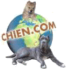 CHIEN.COM, Annuaire canin